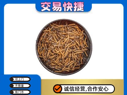 阿拉善左旗礼品回收虫草.jpg
