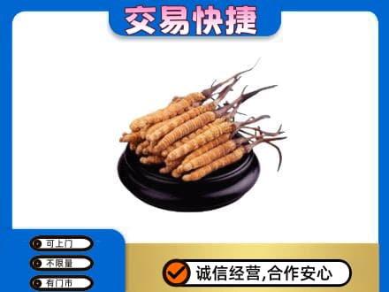 阿拉善左旗礼品回收散虫草.jpg